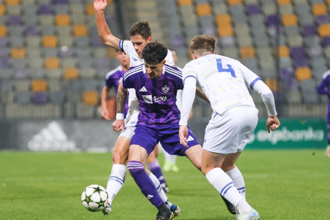 Foto: Grega Wernig za NK Maribor