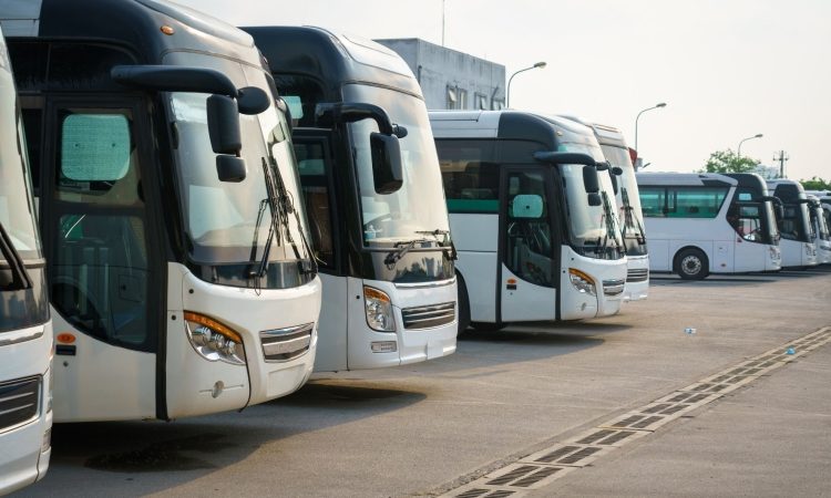 V Kopru z novim letom nove cene voženj z mestnimi avtobusi