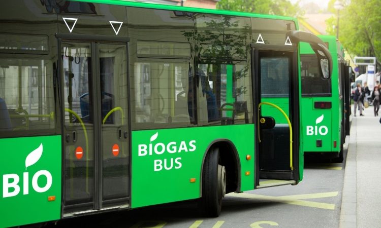 Ljubljana bo z evropskimi sredstvi bogatejša za nove baterijske električne avtobuse
