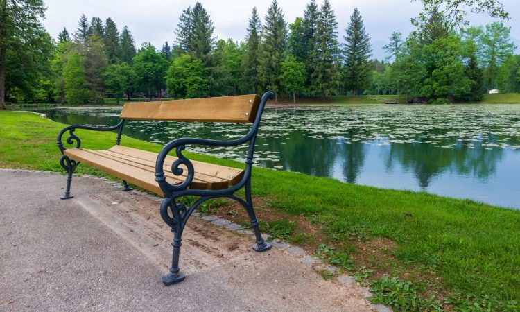 Brdo z novo ponudbo ogledov in načrti za razstavo ter telovadnico