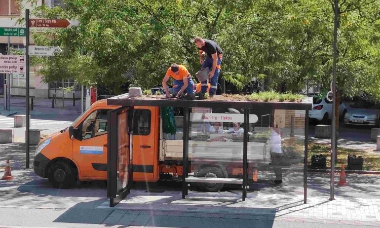 Maribor začel z ozelenjevanjem avtobusnih nadstrešnic