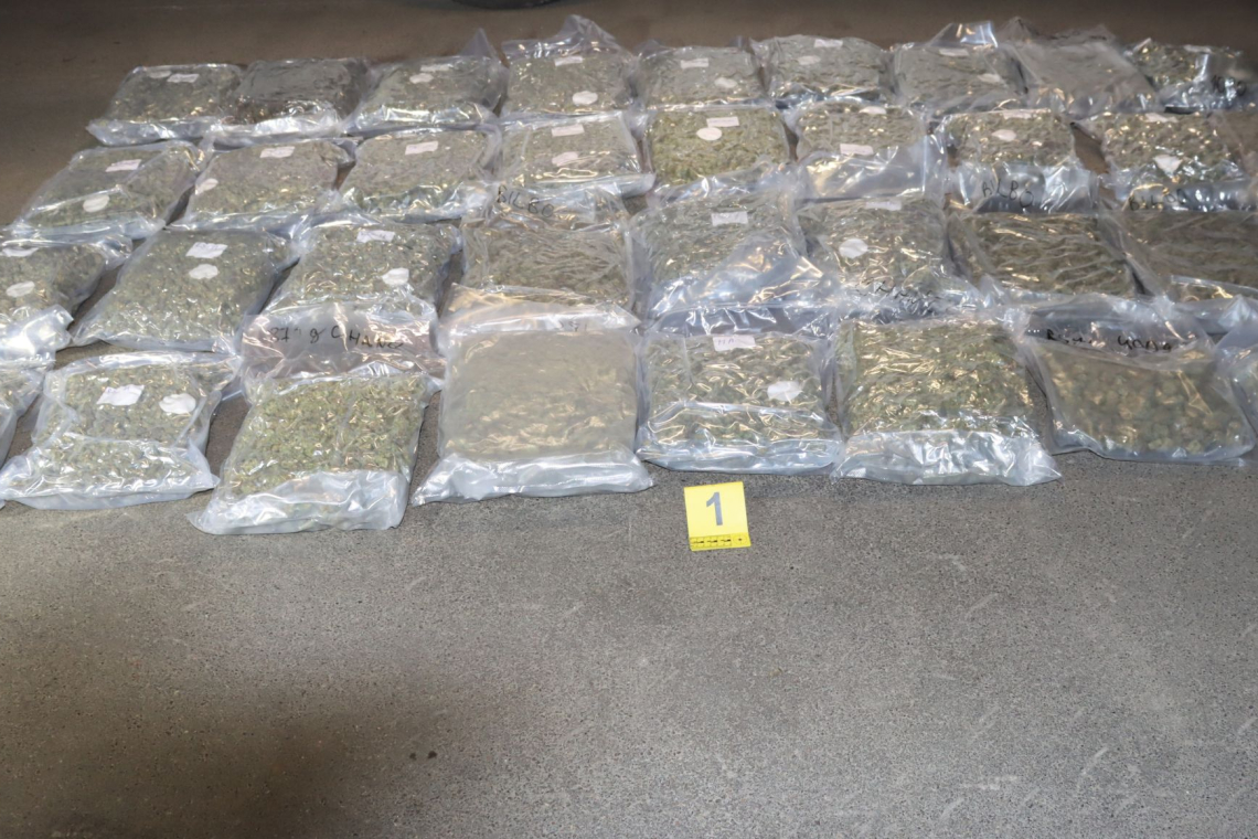 NPU v Ljubljani zasegel več kot 70 kilogramov droge in 80.000 evrov